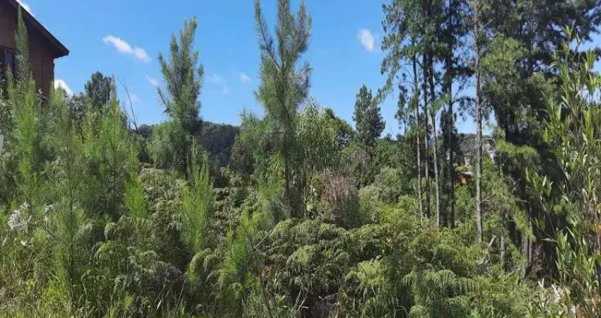 Terreno à venda no Linha Imperial, Nova Petrópolis