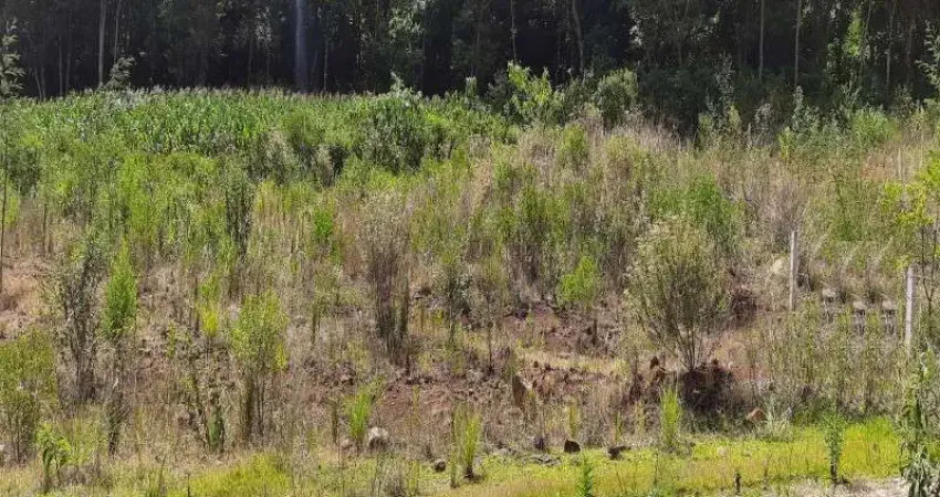 Terreno à venda no Pinhal Alto, Nova Petrópolis 