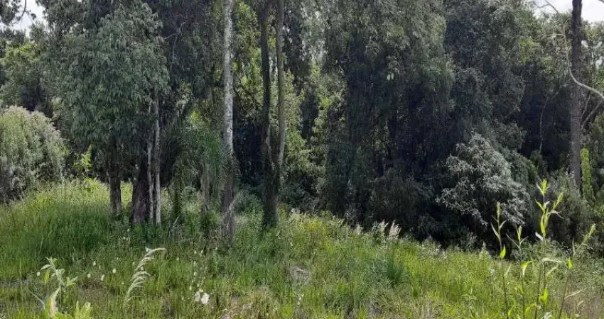 Terreno à venda no Linha Imperial, Nova Petrópolis