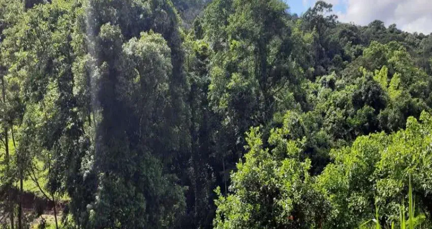 Terreno à venda na Canto Maas, Linha Olinda, Nova Petrópolis