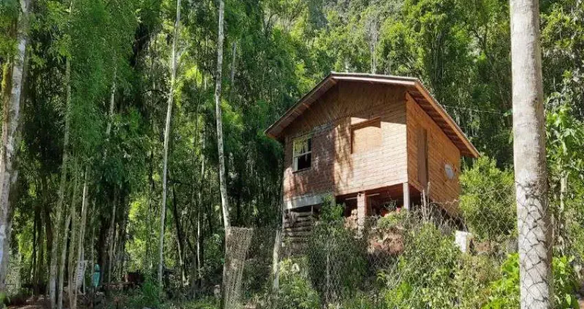 Chácara / sítio com 2 quartos à venda na Linha Pirajá Baixa, Nova Petrópolis 