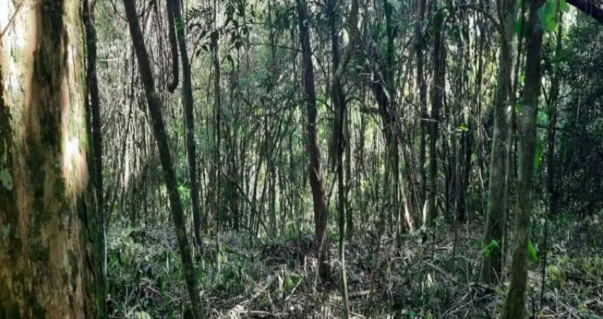Terreno à venda no São Jacó, Nova Petrópolis