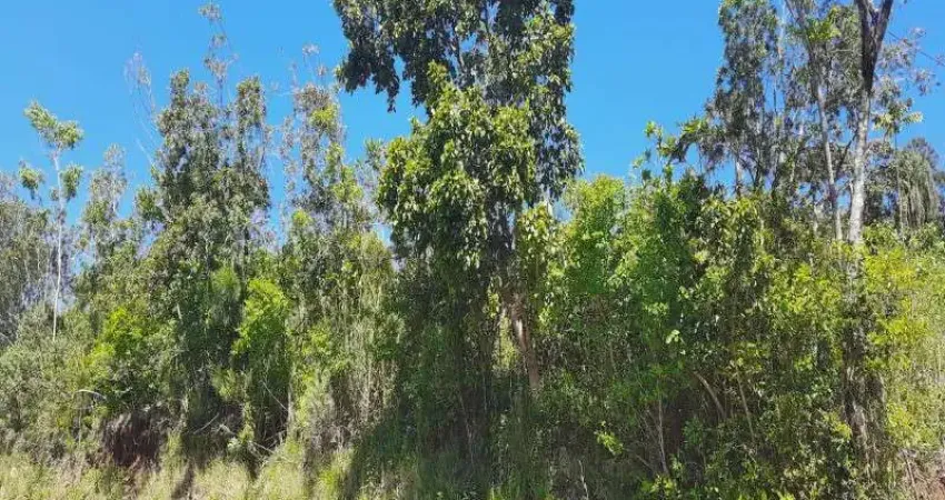 Terreno à venda na Linha Olinda, Nova Petrópolis 