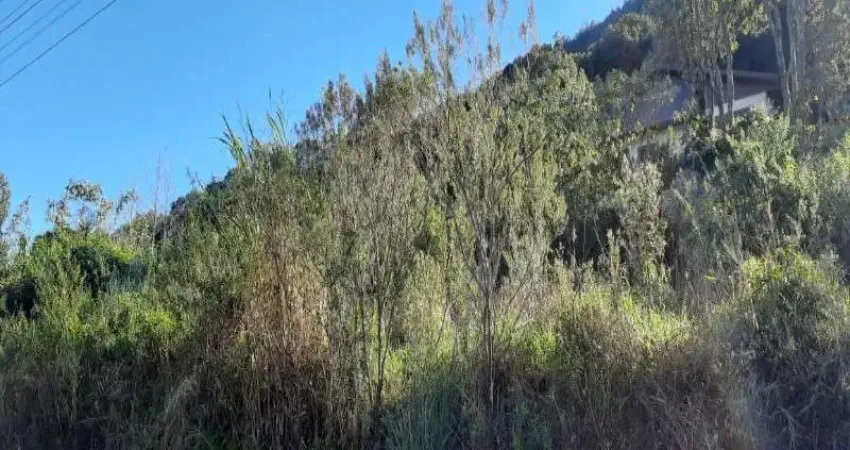 Terreno à venda no Pinhal Alto, Nova Petrópolis
