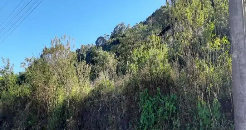 Terreno à venda no Pinhal Alto, Nova Petrópolis