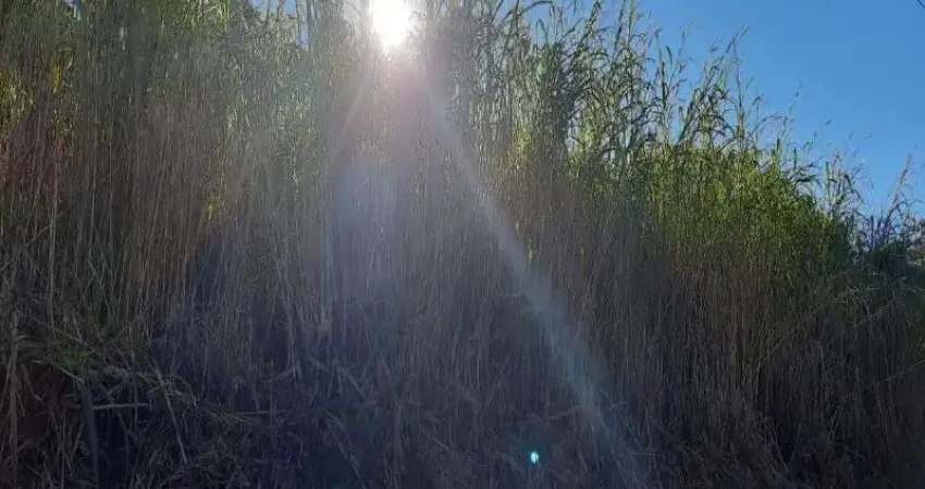 Terreno à venda no Pinhal Alto, Nova Petrópolis