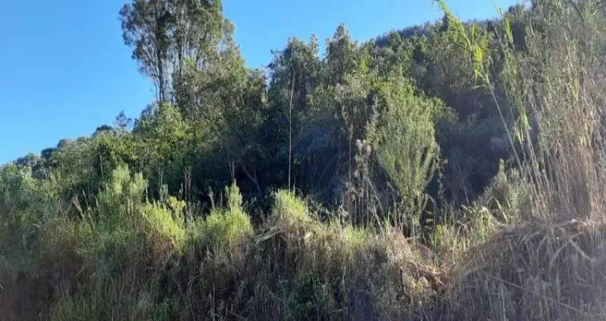 Terreno à venda na Rua Edwino Alberto Wedig, Pinhal Alto, Nova Petrópolis