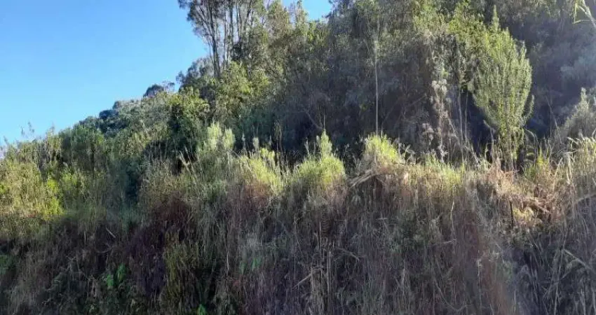 Terreno à venda no Pinhal Alto, Nova Petrópolis