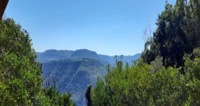 Chácara / sítio com 2 quartos à venda na Rua Antônio Grasse, Linha Brasil Fundos, Nova Petrópolis
