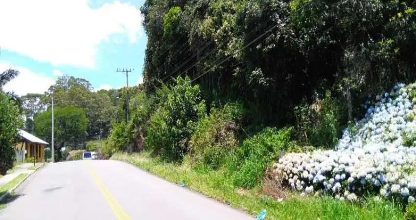 Terreno à venda na Vila Olinda, Nova Petrópolis