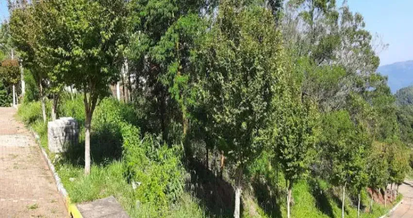 Terreno à venda no Piá, Nova Petrópolis