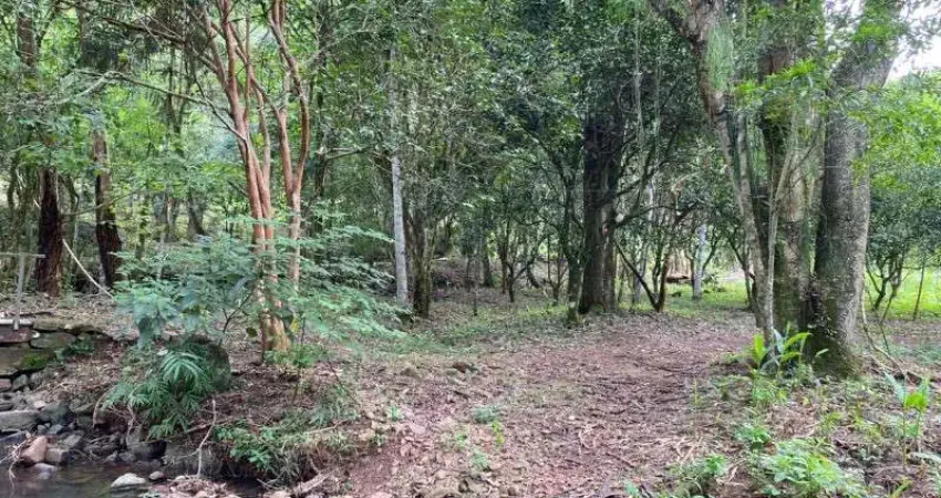 Chácara / sítio com 4 quartos à venda na Rua Arnaldo Rudolfo Graebin, 2020, Linha Temerária, Nova Petrópolis