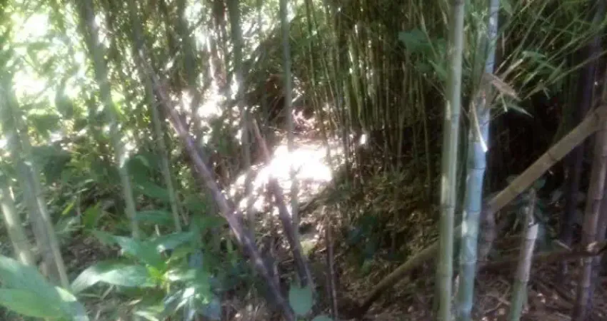 Terreno à venda na Fazenda Pirajá, Nova Petrópolis 