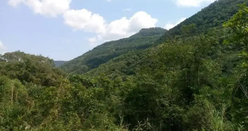Terreno à venda na Linha Pirajá Baixa, Nova Petrópolis