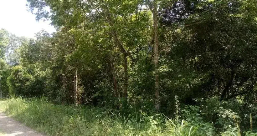 Terreno à venda na Linha Pirajá Baixa, Nova Petrópolis