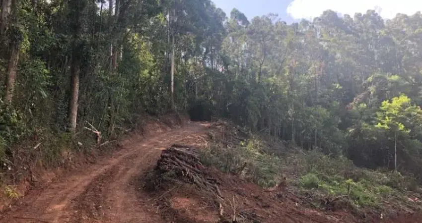 Terreno à venda na Estrada Linha Olinda, Linha Olinda, Nova Petrópolis