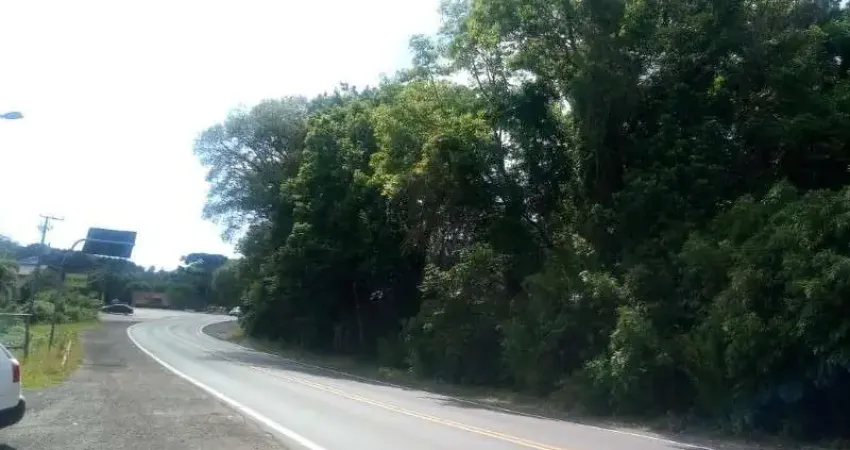 Terreno comercial à venda na Avenida 15 de Novembro, 4555, Vale Verde, Nova Petrópolis