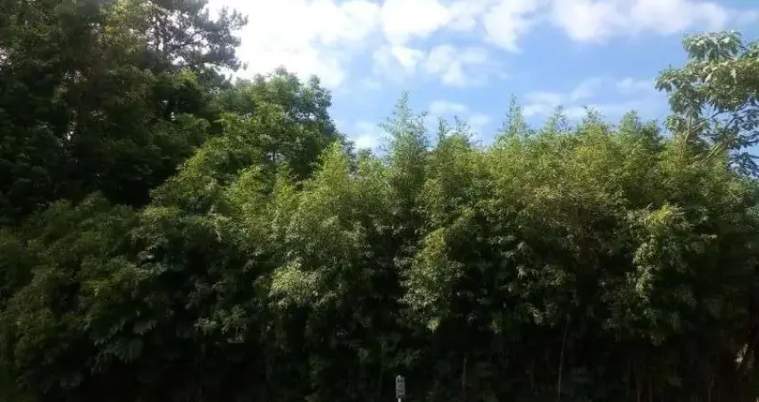 Terreno comercial à venda na Avenida 15 de Novembro, 4537, Vale Verde, Nova Petrópolis