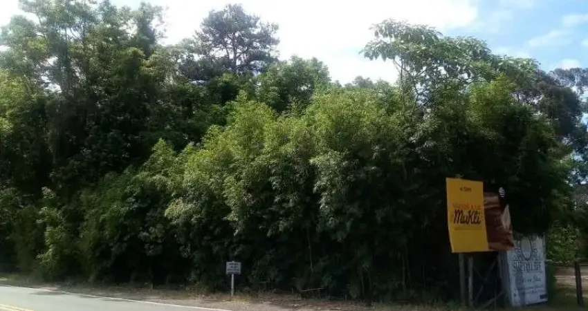 Terreno comercial à venda na Avenida 15 de Novembro, 4519, Vale Verde, Nova Petrópolis