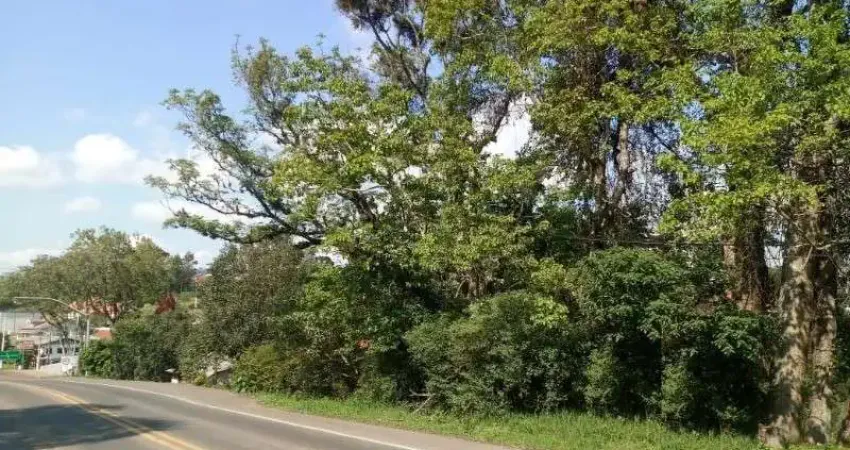 Terreno comercial à venda na Avenida 15 de Novembro, Pousada da Neve, Nova Petrópolis