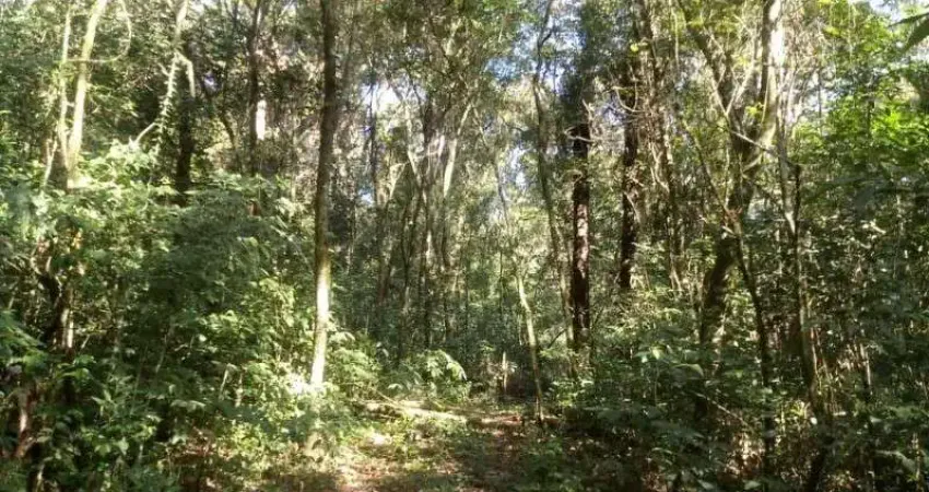 Terreno à venda na Zona Rural, Linha Nova