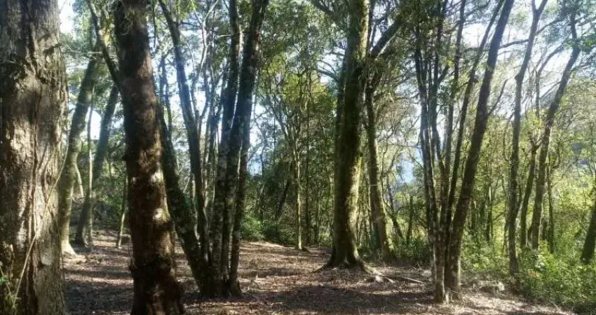 Terreno à venda na Pousada da Neve, Nova Petrópolis 