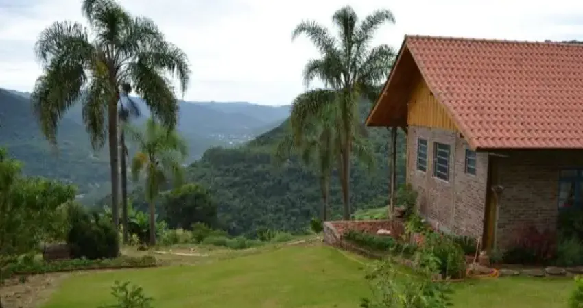 Chácara / sítio à venda na BR 116, Km 86, Linha Olinda, Nova Petrópolis
