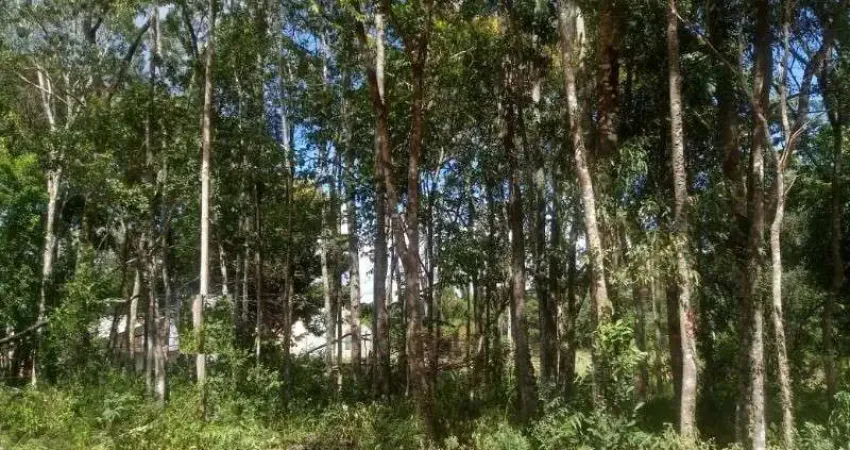 Terreno à venda na Pousada da Neve, Nova Petrópolis