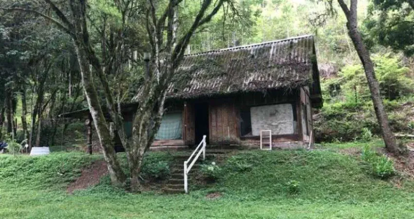 Chácara / sítio com 2 quartos à venda na Linha Pirajá Baixa, Nova Petrópolis 