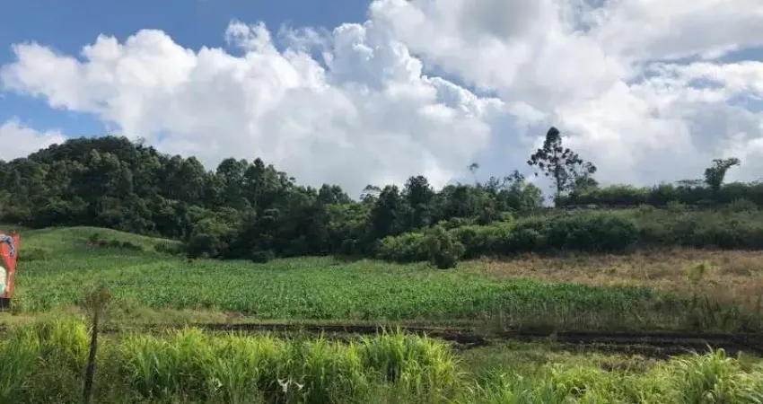 Terreno à venda no Linha Araripe, Nova Petrópolis