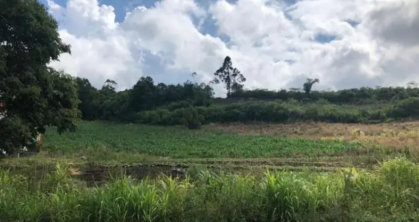 Terreno à venda no Linha Araripe, Nova Petrópolis 
