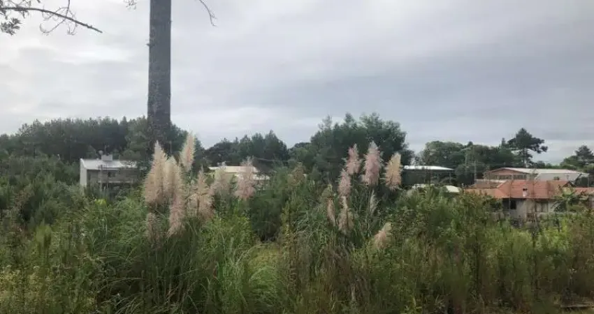 Terreno à venda na Vila Germania, Nova Petrópolis