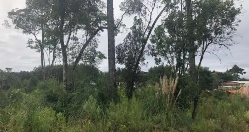 Terreno à venda na Vila Germania, Nova Petrópolis 