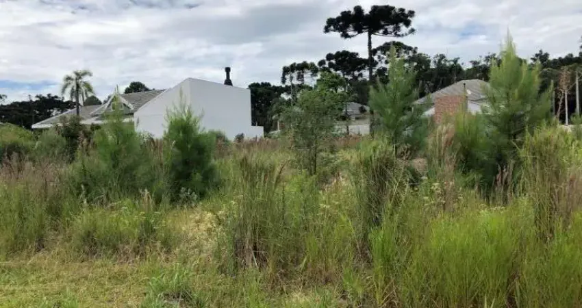 Terreno à venda na Vila Germania, Nova Petrópolis