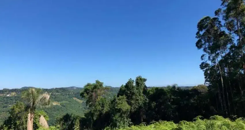 Terreno à venda na Rua Pedro Federhen, Centro, Picada Café