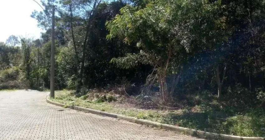 Terreno à venda em Juriti, Nova Petrópolis
