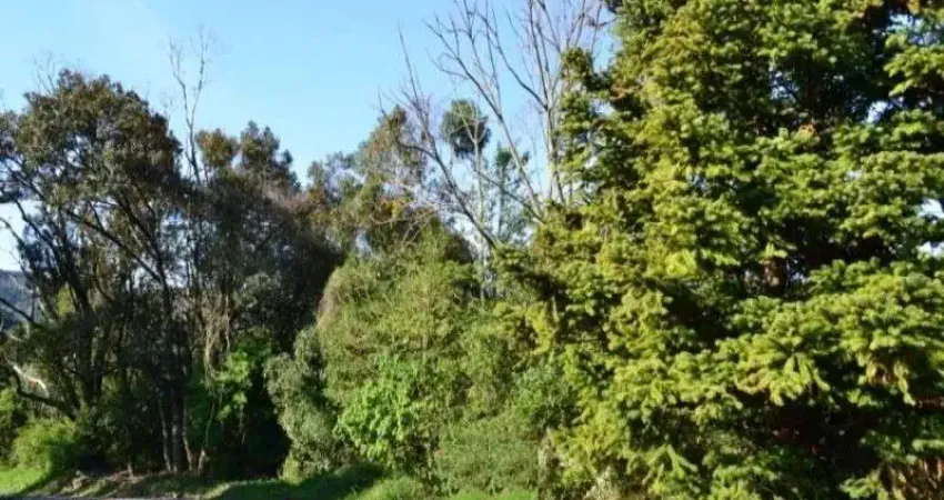 Terreno à venda na Pousada da Neve, Nova Petrópolis
