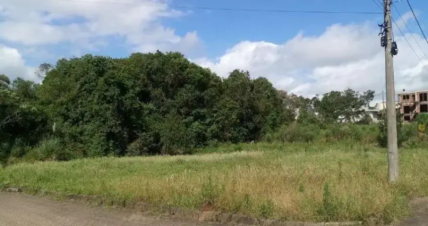 Terreno à venda na Pousada da Neve, Nova Petrópolis