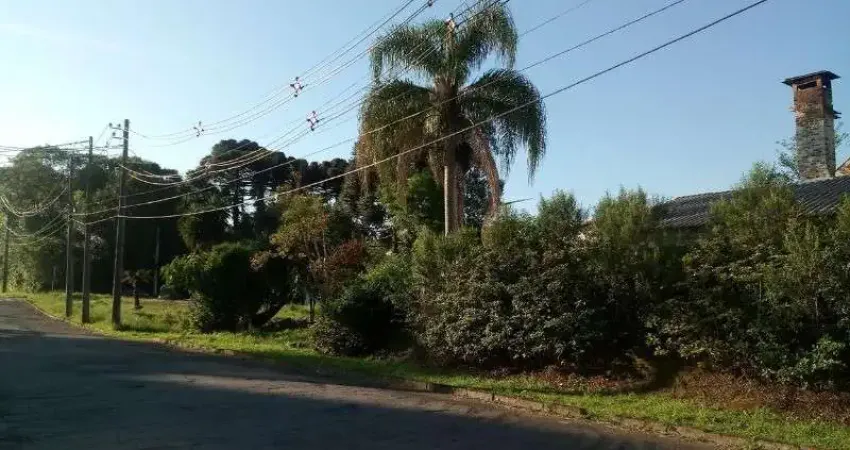 Terreno à venda no Logradouro, Nova Petrópolis