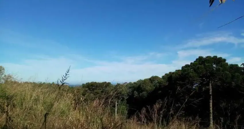 Terreno à venda no Linha Imperial, Nova Petrópolis 