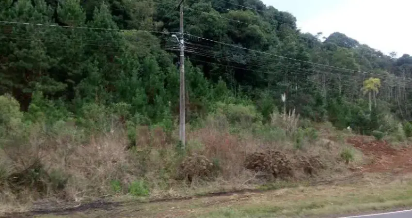 Terreno comercial à venda na RS 235, Linha Imperial, Nova Petrópolis