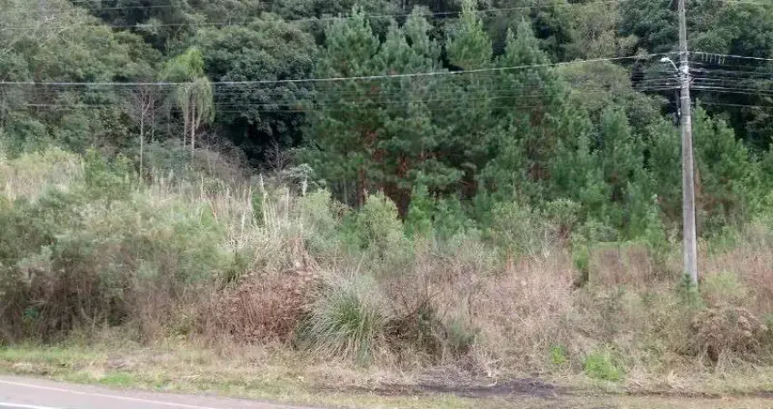 Terreno comercial à venda na RS 235, Linha Imperial, Nova Petrópolis