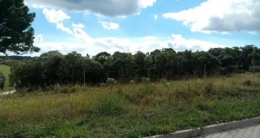Terreno à venda no Linha Imperial, Nova Petrópolis