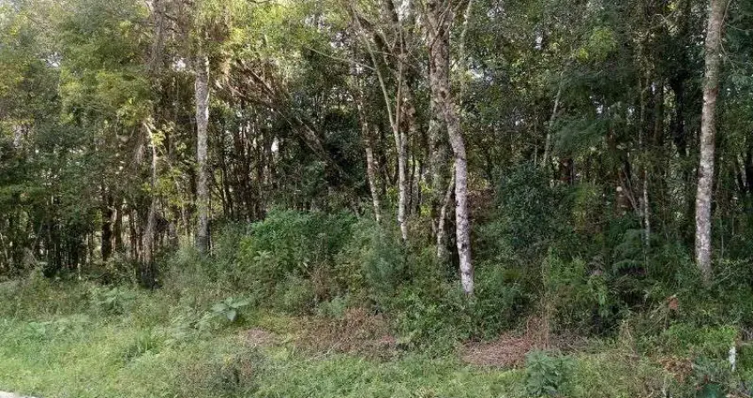 Terreno à venda no Linha Imperial, Nova Petrópolis