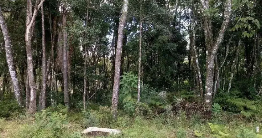 Terreno à venda no Linha Imperial, Nova Petrópolis