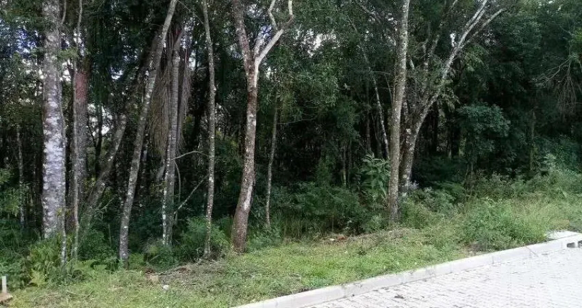 Terreno à venda no Linha Imperial, Nova Petrópolis