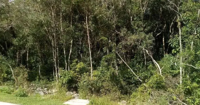 Terreno à venda no Linha Imperial, Nova Petrópolis 