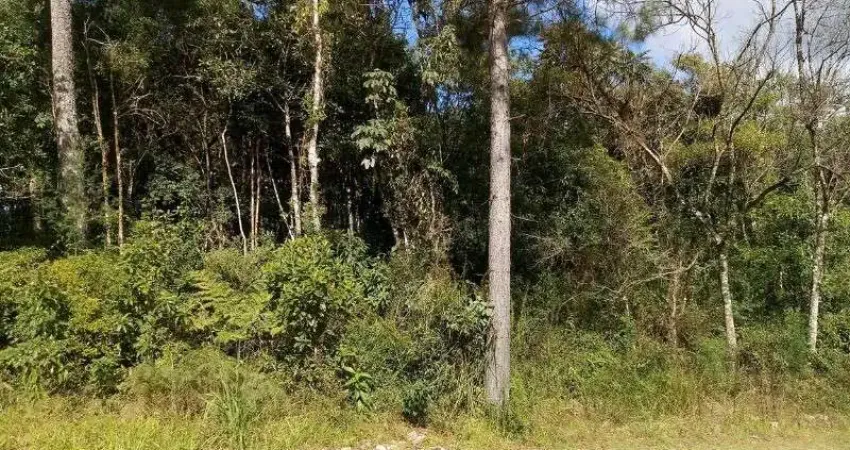 Terreno à venda no Linha Imperial, Nova Petrópolis 