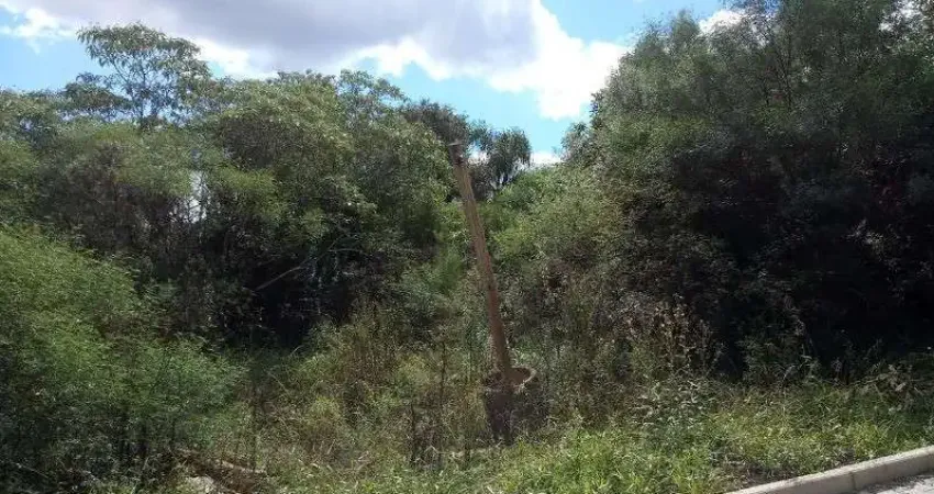 Terreno à venda no Linha Imperial, Nova Petrópolis