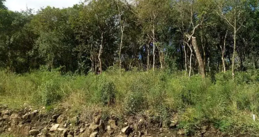Terreno à venda no Linha Imperial, Nova Petrópolis
